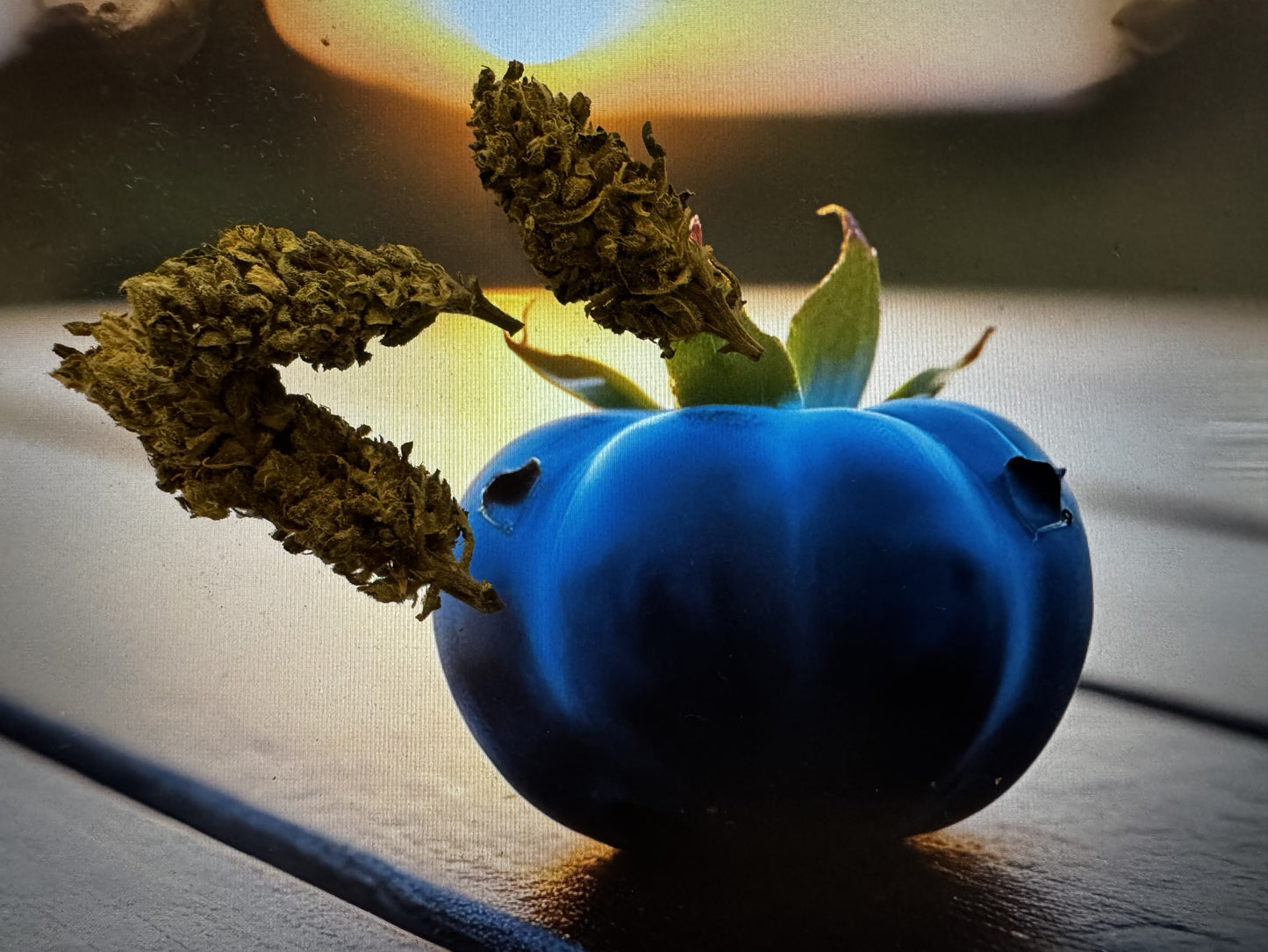 Blueberry CBD 6% 5g- (<0,2%THC)